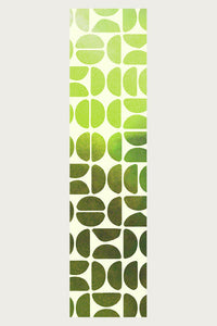 PISTACIA VERA